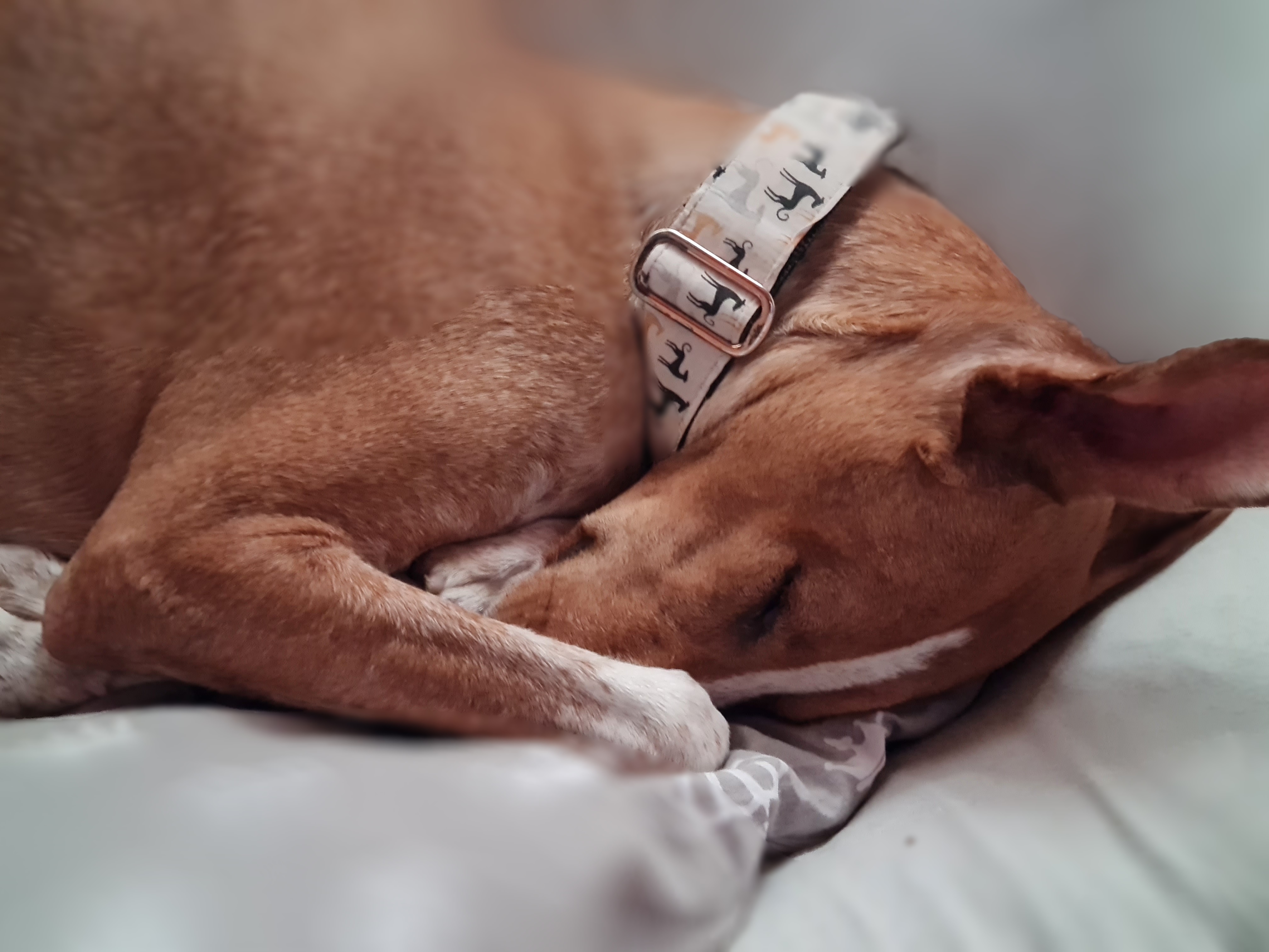 Weihnachtspatenbrief Kimi